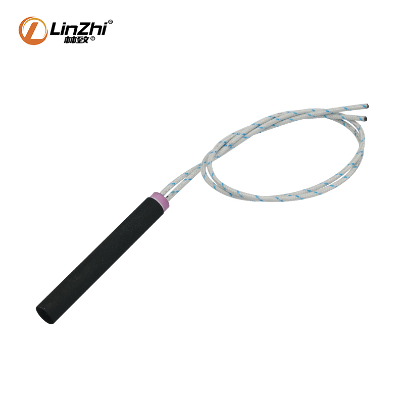 LZ00016-耐高溫納米涂層內引線單頭電熱管